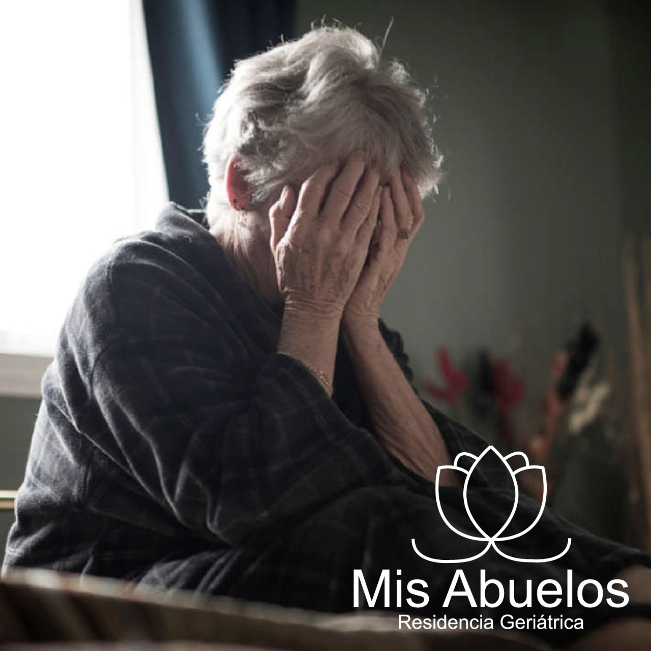 Geriátrico Mis abuelos